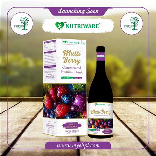 Multi berry Drink