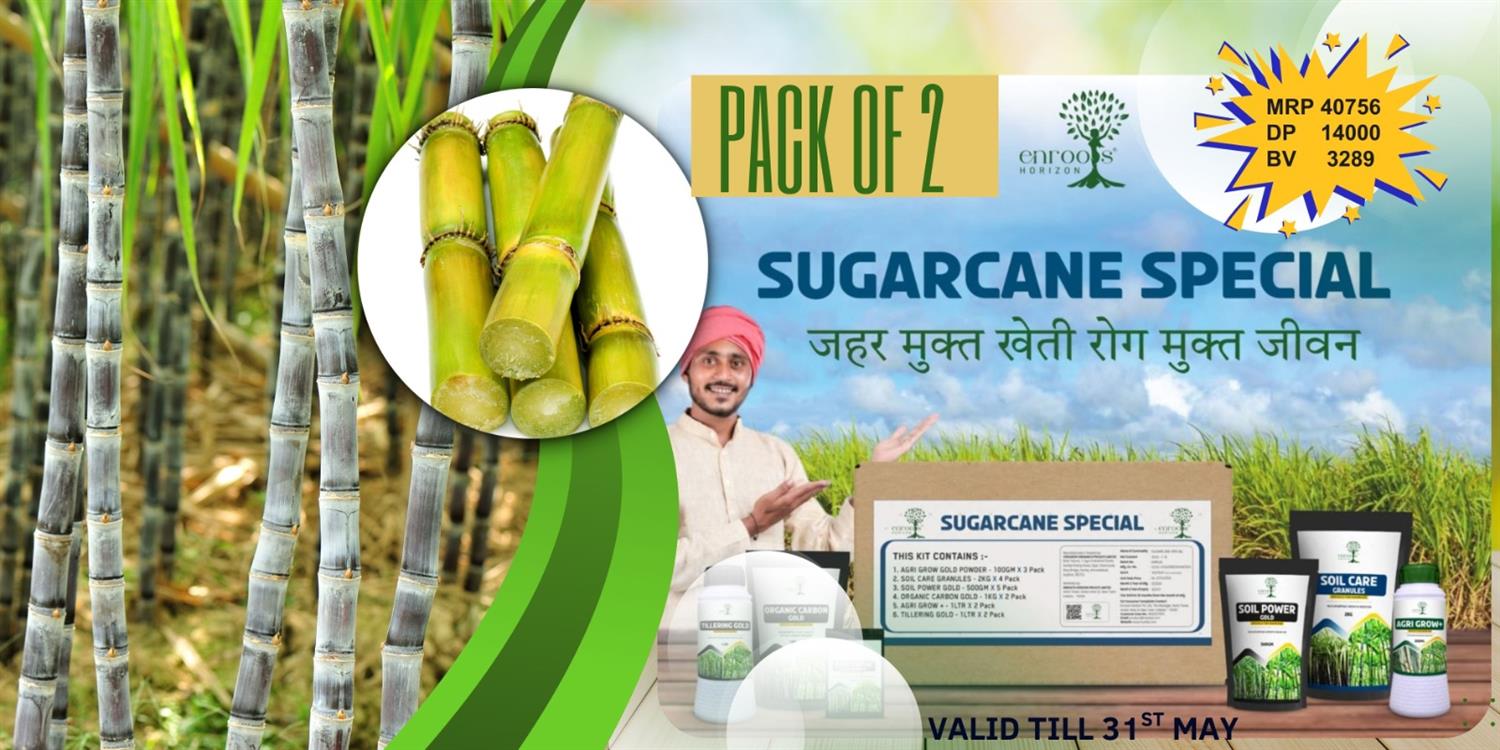 SUGARCANE SPECIAL PACK OF 2