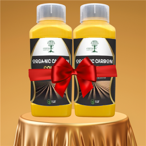 ORGANIC CARBON GOLD PACK OF 2