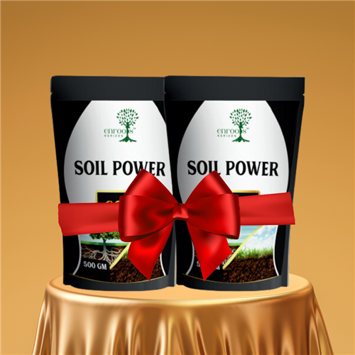 SOIL POWER GOLD PACK OF 2