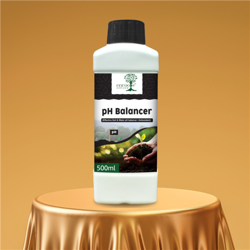 PH BALANCER 500ML